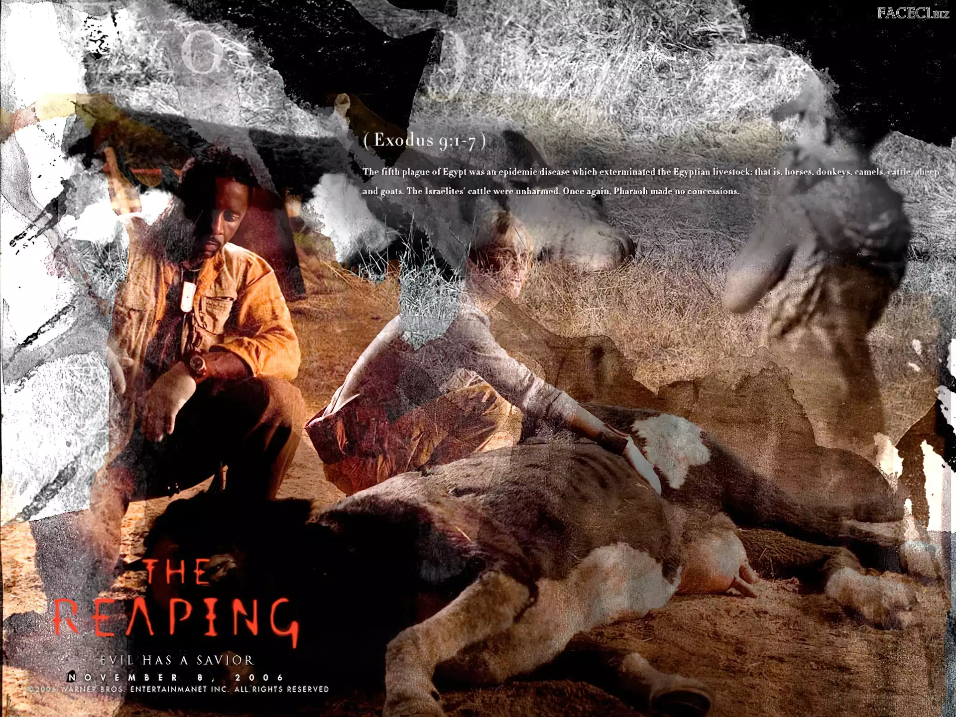 Reaping, Hilary Swank, krowa, Idris Elba