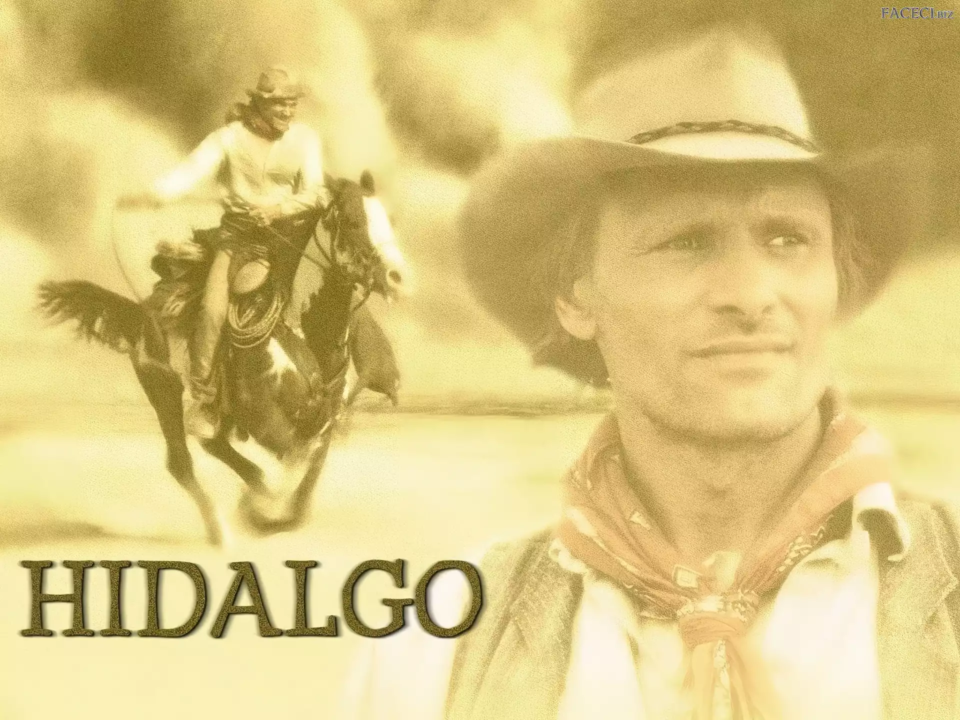 kapelusz, Viggo Mortensen, koń